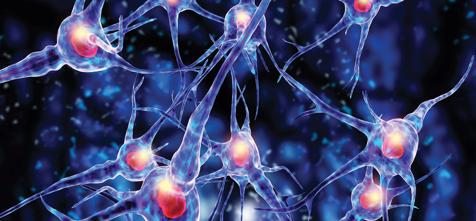 Нервные узлы и нейрон. Нейроны. Нервная система. Регенерация нервных клеток. Мозг человека Нейроны.